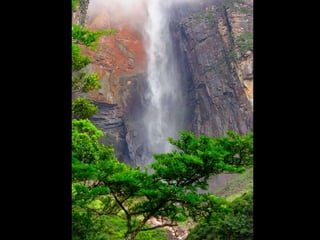 Amazonia venezuelana