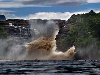 Amazonia venezuelana