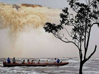 Amazonia venezuelana