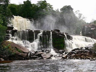 Amazonia venezuelana