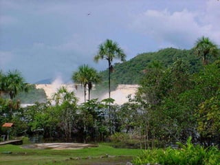 Amazonia venezuelana