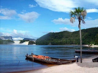Amazonia venezuelana