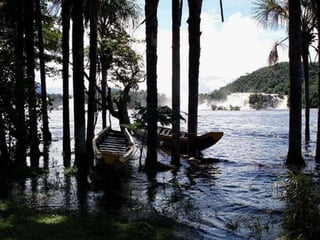 Amazonia venezuelana