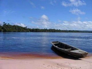 Amazonia venezuelana