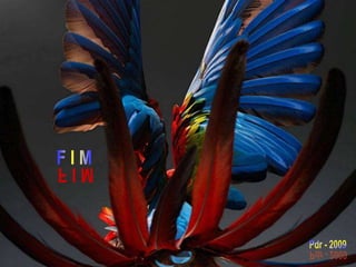 Amazonia venezuelana