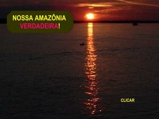 NOSSA AMAZÔNIA  VERDADEIRA ! CLICAR 