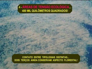 4 -  ÁREAS DE TENSÃO ECOLÓGICA ... 480 MIL QUILÔMETROS QUADRADOS! CONTATO  ENTRE  TIPOLOGIAS  DISTINTAS...  DOIS  TERÇOS  AINDA CONSERVAM  ASPECTO  FLORESTAL! 