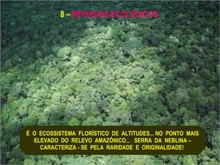 É  O  ECOSSISTEMA  FLORÍSTICO  DE  ALTITUDES... NO  PONTO  MAIS ELEVADO  DO  RELEVO  AMAZÔNICO...  SERRA  DA  NEBLINA – CARACTERIZA - SE  PELA  RARIDADE  E  ORIGINALIDADE!  8 –  REFÚGIOS ECOLÓGICOS 