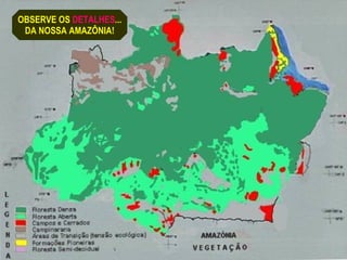 OBSERVE OS  DETALHES ... DA NOSSA AMAZÔNIA! 