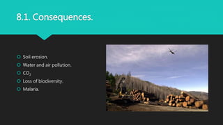 8.1. Consequences.
 Soil erosion.
 Water and air pollution.
 CO2
 Loss of biodiversity.
 Malaria.
 