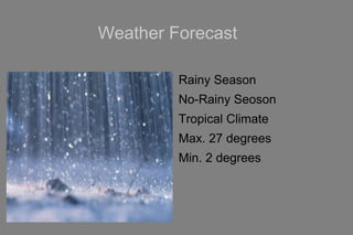 Weather Forecast
Rainy Season
No-Rainy Seoson
Tropical Climate
Max. 27 degrees
Min. 2 degrees
 