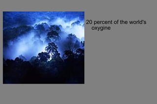 20 percent of the world's
oxygine
 