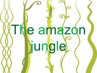 The amazon
jungle
 