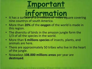 Important
information• It has a surface of 2.5 millions of miles square covering
nine countrys of south America.
• More than 20% of the oxygen of the world is made in
this region.
• The diversity of birds in the amazon jungle form the
1/3 of all the species in the world.
• More than 5 millions species of insects, plants, and
animals are here.
• There are approximately 50 tribes who live in the heart
of the jungle.
• Nowadays 108.000 millions areas per year are
destroyed.
 