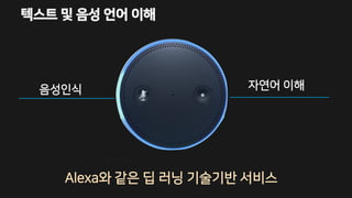 텍스트 및 음성 언어 이해
음성인식 자연어 이해
Alexa와 같은 딥 러닝 기술기반 서비스
 