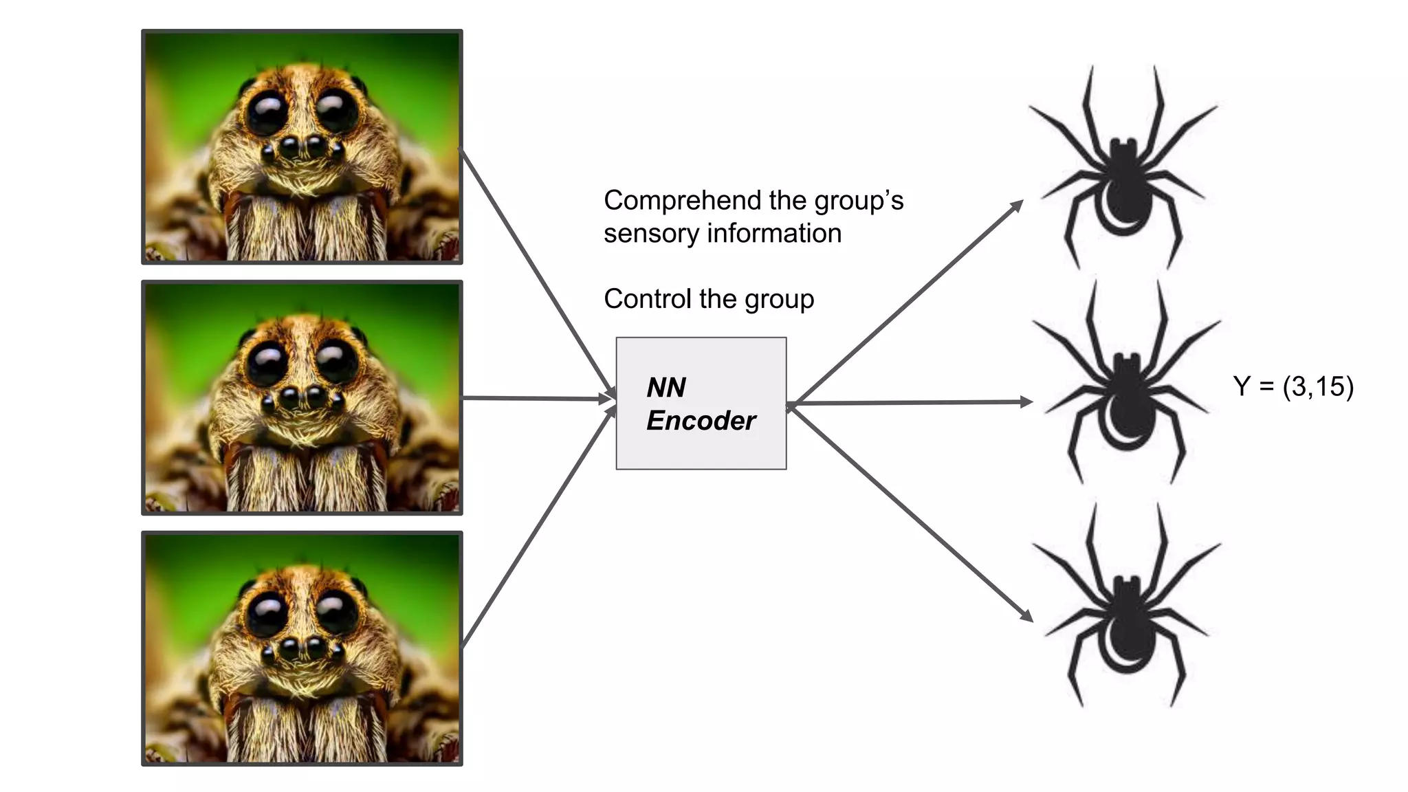 Comprehend the group’s
sensory information
Control the group
NN
Encoder
Y = (3,15)
 