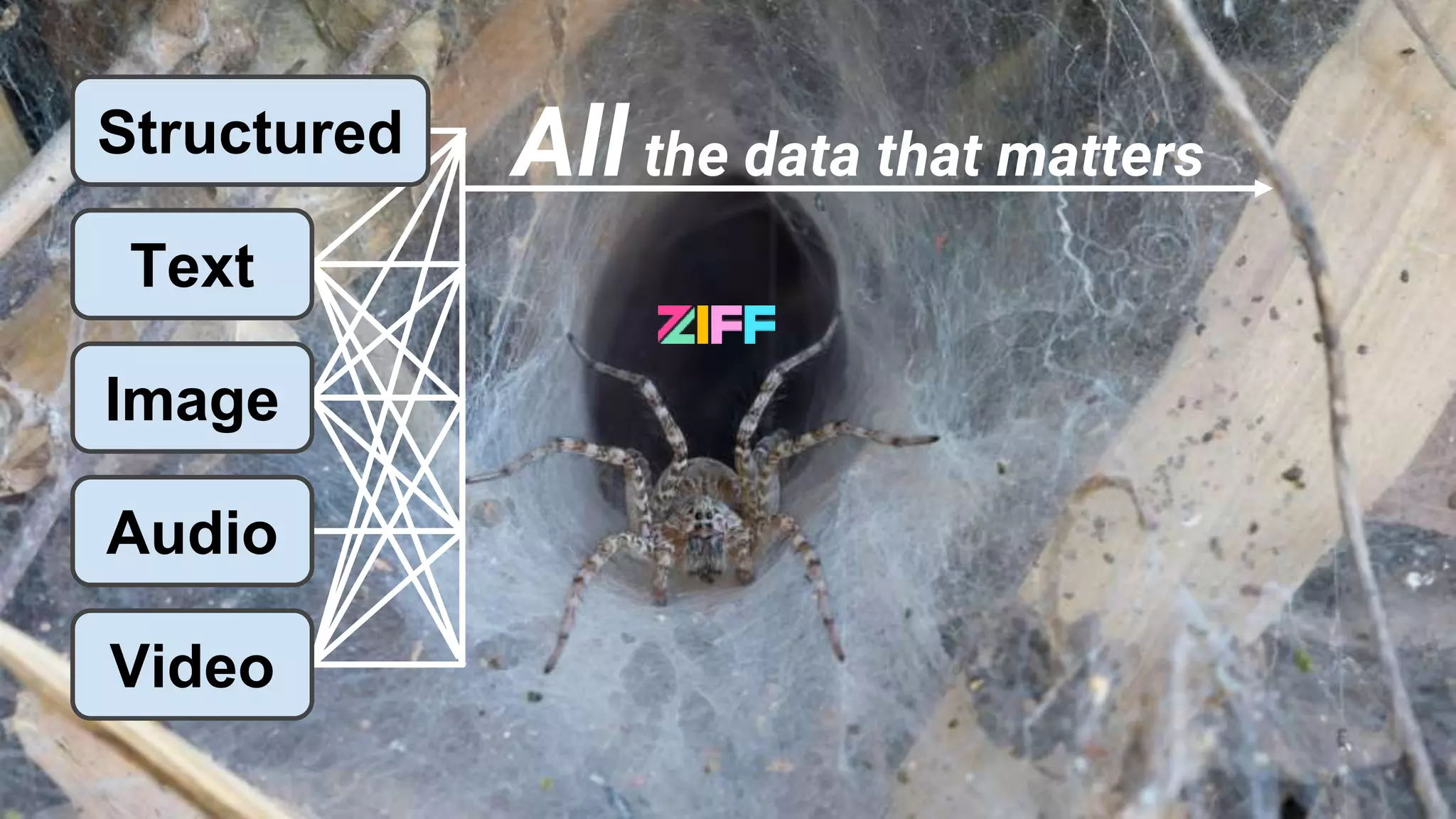 Audio
Structured All the data that matters
Image
Text
Video
 