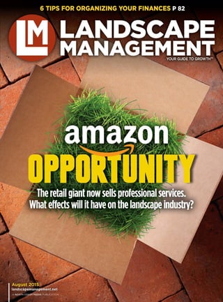 Amazon Opportunity