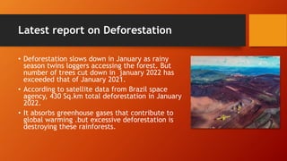 Latest report on Deforestation
• Deforestation slows down in January as rainy
season twins loggers accessing the forest. But
number of trees cut down in january 2022 has
exceeded that of January 2021.
• According to satellite data from Brazil space
agency, 430 Sq.km total deforestation in January
2022.
• It absorbs greenhouse gases that contribute to
global warming .but excessive deforestation is
destroying these rainforests.
 
