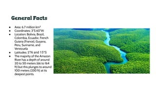 Amazon Rainforest.pdffffffffffffffffffff | PDF