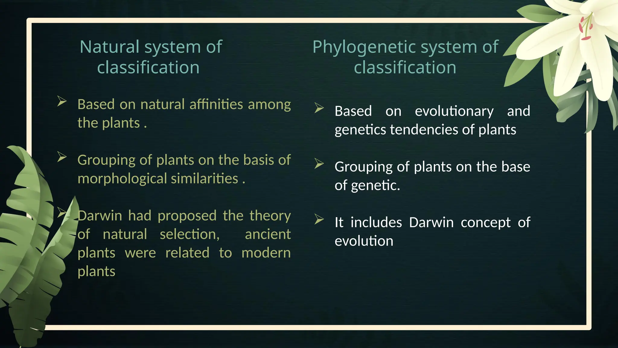 Natural system of
classification
Phylogenetic system of
classification
 Based on evolutionary and
genetics tendencies of plants
 Grouping of plants on the base
of genetic.
 It includes Darwin concept of
evolution
 Based on natural affinities among
the plants .
 Grouping of plants on the basis of
morphological similarities .
 Darwin had proposed the theory
of natural selection, ancient
plants were related to modern
plants
 