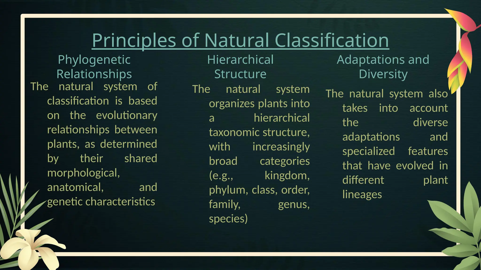 Principles of Natural Classification
Phylogenetic
Relationships
The natural system of
classification is based
on the evolutionary
relationships between
plants, as determined
by their shared
morphological,
anatomical, and
genetic characteristics
Hierarchical
Structure
The natural system
organizes plants into
a hierarchical
taxonomic structure,
with increasingly
broad categories
(e.g., kingdom,
phylum, class, order,
family, genus,
species)
Adaptations and
Diversity
The natural system also
takes into account
the diverse
adaptations and
specialized features
that have evolved in
different plant
lineages
 