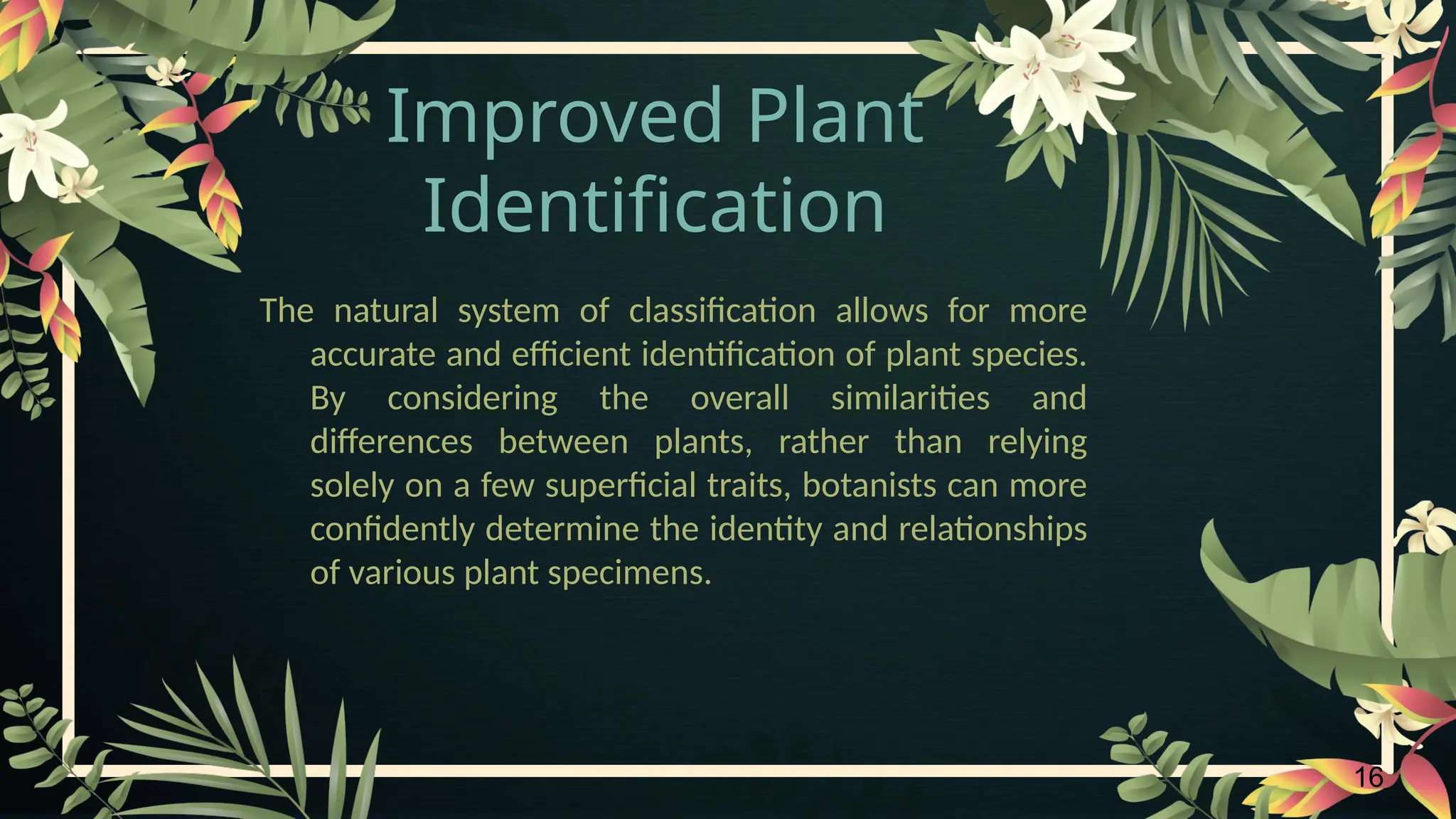 16
Improved Plant
Identification
The natural system of classification allows for more
accurate and efficient identification of plant species.
By considering the overall similarities and
differences between plants, rather than relying
solely on a few superficial traits, botanists can more
confidently determine the identity and relationships
of various plant specimens.
 