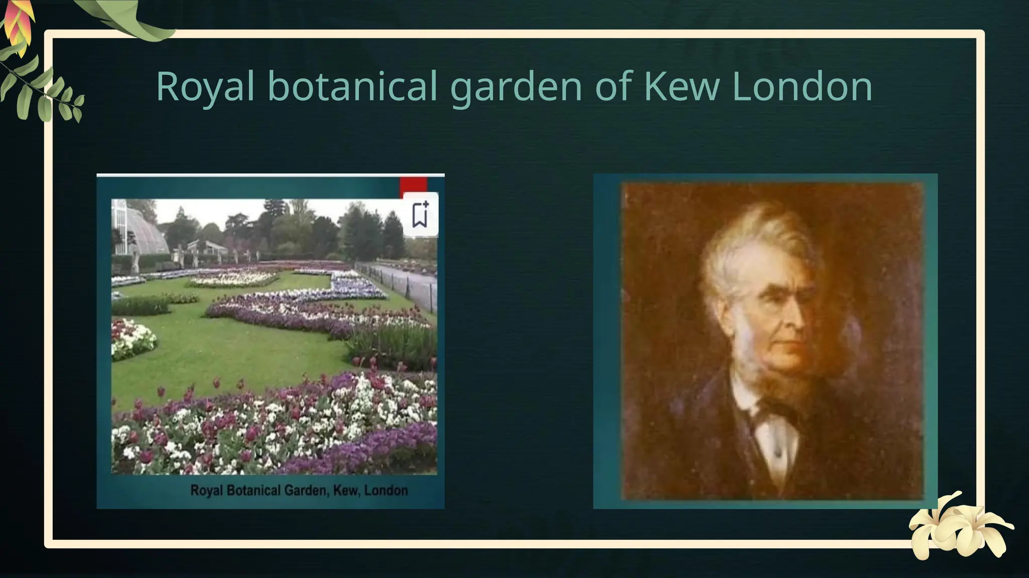 Royal botanical garden of Kew London
 