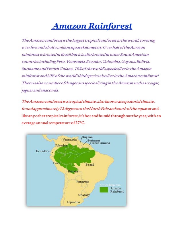 Amazon Rainforest Geography Pdf
