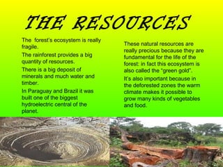 THE RESOURCES
The forest’s ecosystem is really
fragile.
The rainforest provides a big
quantity of resources.
There is a big deposit of
minerals and much water and
timber.
In Paraguay and Brazil it was
built one of the biggest
hydroelectric central of the
planet.
These natural resources are
really precious because they are
fundamental for the life of the
forest: in fact this ecosystem is
also called the “green gold”.
It’s also important because in
the deforested zones the warm
climate makes it possible to
grow many kinds of vegetables
and food.
 