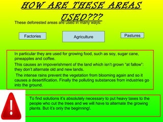 HOW ARE THESE AREAS
USED???These deforested areas are used in many ways:
PasturesFactories Agriculture
In particular they are used for growing food, such as soy, sugar cane,
pineapples and coffee.
This causes an impoverishment of the land which isn’t grown “at fallow”:
they don’t alternate old and new lands.
The intense rains prevent the vegetation from blooming again and so it
causes a desertification. Finally the polluting substances from industries go
into the ground.
To find solutions it’s absolutely necessary to put heavy taxes to the
people who cut the trees and we will have to alternate the growing
plants. But it’s only the beginning!.
 