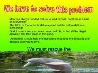 Man has always needed Nature to feed himself, but there is a limit
to everything!
The 80% of the forest is still unspoiled but the deforestation is
increasing!
First it is necessary to do accurate controls, to find all the illegal
activities that take place in this zone.
Authorities should help the institutions that keep this fantastic and
delicate ecosystem alive.
We must rescue the
endangered species
 