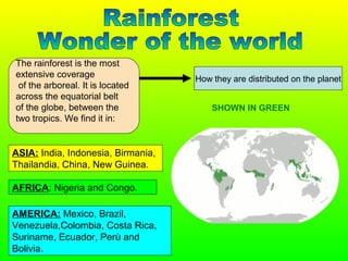 How they are distributed on the planet
The rainforest is the most
extensive coverage
of the arboreal. It is located
across the equatorial belt
of the globe, between the
two tropics. We find it in:
AMERICA: Mexico, Brazil,
Venezuela,Colombia, Costa Rica,
Suriname, Ecuador, Perù and
Bolivia.
AFRICA: Nigeria and Congo.
ASIA: India, Indonesia, Birmania,
Thailandia, China, New Guinea.
SHOWN IN GREEN
 