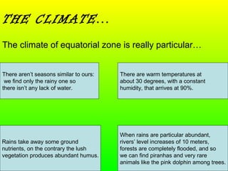 THE CLIMATE…
The climate of equatorial zone is really particular…
There aren’t seasons similar to ours:
we find only the rainy one so
there isn’t any lack of water.
There are warm temperatures at
about 30 degrees, with a constant
humidity, that arrives at 90%.
Rains take away some ground
nutrients, on the contrary the lush
vegetation produces abundant humus.
When rains are particular abundant,
rivers’ level increases of 10 meters,
forests are completely flooded, and so
we can find piranhas and very rare
animals like the pink dolphin among trees.
 