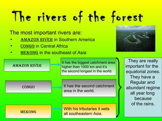 The rivers of the forest
The most important rivers are:
• AmAzon river in Southern America
• Congo in Central Africa
• mekong in the southeast of Asia
AmAzon river
It has the biggest catchment area
higher than 1000 km and it’s
the second longest in the world.
Congo It has the second catchment
area in the world.
mekong
With his tributaries it wets
all southeastern Asia.
They are really
important for the
equatorial zones.
They have a
Regular and
abundant regime
all year long
because
of the rains.
 