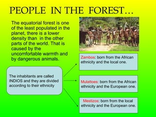 PEOPLE IN THE FOREST…
The equatorial forest is one
of the least populated in the
planet, there is a lower
density than in the other
parts of the world. That is
caused by the
uncomfortable warmth and
by dangerous animals.
The inhabitants are called
INDIOS and they are divided
according to their ethnicity
Zambos: born from the African
ethnicity and the local one.
Mulattoes: born from the African
ethnicity and the European one.
Mestizos: born from the local
ethnicity and the European one.
 