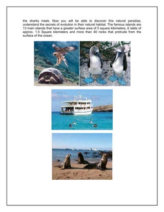 the sharks meek. Now you will be able to discover this natural paradise,
understand the secrets of evolution in their natural habitat. The famous islands are
13 main islands that have a greater surface area of 5 square kilometers, 6 islets of
approx. 1.5 Square kilometers and more than 40 rocks that protrude from the
surface of the ocean.
 