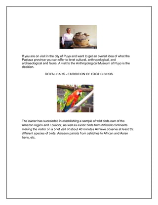 If you are on visit in the city of Puyo and want to get an overall idea of what the
Pastaza province you can offer to level cultural, anthropological, and
archaeological and fauna. A visit to the Anthropological Museum of Puyo is the
decision.

                 ROYAL PARK - EXHIBITION OF EXOTIC BIRDS




The owner has succeeded in establishing a sample of wild birds own of the
Amazon region and Ecuador, As well as exotic birds from different continents
making the visitor on a brief visit of about 40 minutes Achieve observe at least 35
different species of birds. Amazon parrots from ostriches to African and Asian
hens, etc.
 