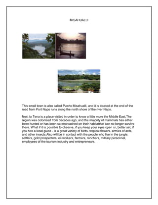 MISAHUALLI




This small town is also called Puerto Misahualli, and it is located at the end of the
road from Port Napo runs along the north shore of the river Napo.

Next to Tena is a place visited in order to know a little more the Middle East,The
region was colonized from decades ago, and the majority of mammals has either
been hunted or has been so encroached on their habitatthat can no longer survive
there. What if it is possible to observe, if you keep your eyes open or, better yet, if
you hire a local guide - is a great variety of birds, tropical flowers, armies of ants,
and other insects.Also will be in contact with the people who live in the jungle:
settlers, gold prospectors, oil workers, farmers, ranchers, military personnel,
employees of the tourism industry and entrepreneurs.
 
