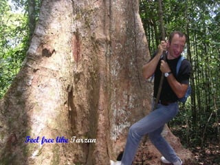 Feel free like Tarzan
 