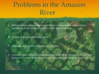 Problems in the Amazon
River
1. Deforestation: deforestation is the basin causes erosion and soil loss,
sediments in the river, unbalance in the vital ecosystem.
2. Destruction of fragile ecosystems
3. Pollution and quality degradation of water.
4. Constant gas released when substantial parts of the forest are cleared and
burned may contribute to global warming through the greenhouse effect
 