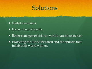 Solutions
 Global awareness
 Power of social media
 Better management of our worlds natural resources
 Protecting the life of the forest and the animals that
inhabit this world with us.
 