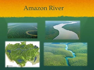 Amazon River
 