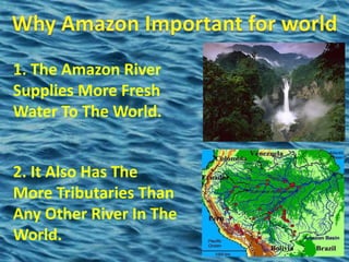 Amazon river | PPTX