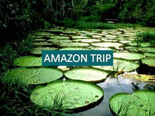 AMAZON TRIP AMAZON TRIP 