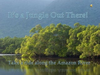 Photo Album by krista.saulter It’s a Jungle Out There! Take a ride along the Amazon River  