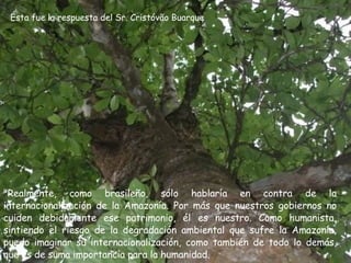 Ésta fue la respuesta del Sr. Cristóvão Buarque "Realmente, como brasileño, sólo hablaría en contra de la internacionalización de la Amazonía. Por más que nuestros gobiernos no cuiden debidamente ese patrimonio, él es nuestro. Como humanista, sintiendo el riesgo de la degradación ambiental que sufre la Amazonía, puedo imaginar su internacionalización, como también de todo lo demás, que es de suma importancia para la humanidad.  