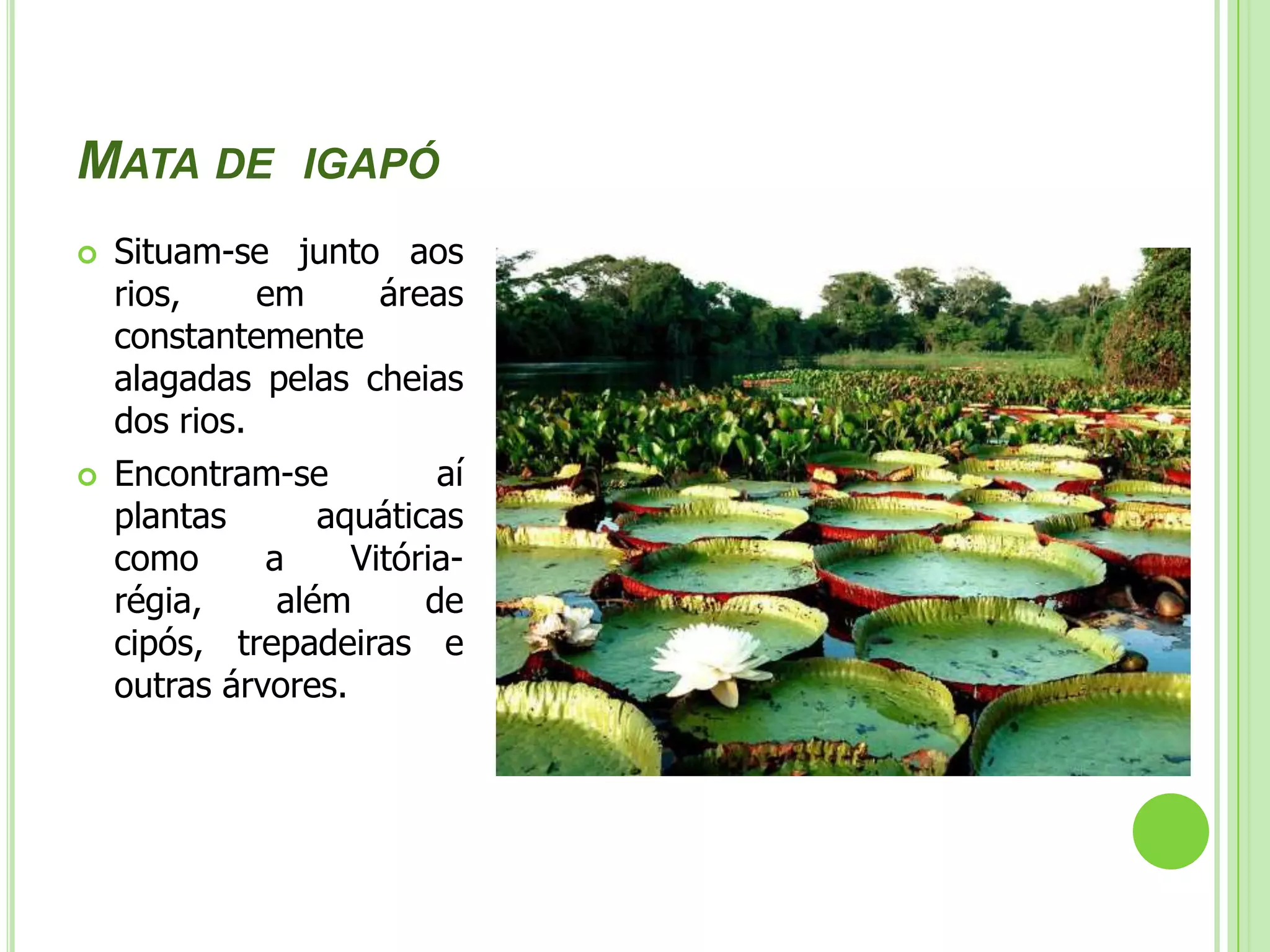 Significados dos termosAltruísmo- é um tipo de comportamento encontrado nos seres humanos e outros seres vivos, em que as ações de um indivíduo beneficiam outro trazendo algum tipo de prejuízo para o próprio.  Cuiabá-Santarém - É a rodovia que integra o Centro Norte do Brasil ao Centro Oeste e Sul do Brasil. Possui fundamental importância para o escoamento da produção da parte paraense da Região Norte e norte da Região Centro-Oeste do país. ENIDs- Eixos Nacionais de Integração e Desenvolvimento Políticas Públicas-  é definida como o conjunto de ações desencadeadas pelo Estado, no caso brasileiro, nas escalas federal, estadual e municipal, com vistas ao bem coletivo. Elas podem ser desenvolvidas em parcerias com organizações não governamentais e, como se verifica mais recentemente, com a iniciativa privada. Cabe ao Estado propor ações preventivas diante de situações de risco à sociedade por meio de políticas públicas. SIPAM/SIVAM - Sistema de Proteção da Amazônia/Sistema de Vigilância da Amazônia. Ucs- As unidades de conservação (UCs) são legalmente instituídas pelo poder público, nas suas três esferas (municipal, estadual e federal). Elas são reguladas pela Lei no. 9.985, de 2000, que institui o Sistema Nacional de Unidades de Conservação (SNUC). Estão divididas em dois grupos: As de proteção integral- são unidade que não podem ser habitadas pelo homem, sendo admitido apenas o uso indireto dos seus recursos naturais - em atividades como pesquisa científica e turismo ecológico, por exemplo.As de uso sustentável- são unidades que admitem a presença de moradores. Elas têm como objetivo compatibilizar a conservação da natureza com o uso sustentável dos recursos naturais. ZEE- Zoneamento Ecológico-Econômico (ZEE) é um instrumento de organização do território a ser obrigatoriamente seguido na implantação de planos, obras e atividades públicas e privadas, estabelece medidas e padrões de proteção ambiental destinados a assegurar a qualidade ambiental, dos recursos hídricos e do solo e a conservação da biodiversidade, garantindo o desenvolvimento sustentável e a melhoria das condições de vida da população. O ZEE tem por objetivo geral organizar, de forma vinculada, as decisões dos agentes públicos e privados quanto a planos, programas, projetos e atividades que, direta ou indiretamente, utilizem recursos naturais, assegurando a plena manutenção do capital e dos serviços ambientais dos ecossistemas. 