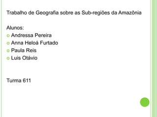 Subdivisão Regional da Amazônia 