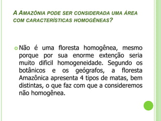 Mata de Várzea Localizam-se em áreas mais altas que as matas de igapós.  Essas áreas são alagadas periodicamente nas cheias dos rios. Espécies como o cacaueiro e a seringueira são comuns nessas matas.A seringueira é uma árvore originária da bacia hidrográfica do Rio Amazonas, onde existia em abundância e com exclusividade, características que geraram o extrativismo do látex, o chamado ciclo da borracha, período da história brasileira de muita riqueza e pujança para a região. O ciclo da borracha entra em declínio quando grandes hortos foram plantados por ingleses, para fins de exploração, no continente africano, na Malásia e no SriLanka.O trabalhador que retira o látex da seringueira chama-se seringueiro.